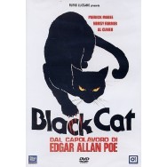 BLACK CAT