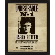 HARRY POTTER - POSTER 3D LENTICULAR