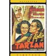IL FIGLIO DI TARZAN