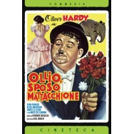 OLLIO SPOSO MATTACCHIONE - DVD