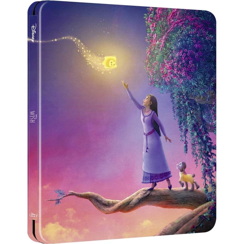 WISH - Steelbook Blu-Ray