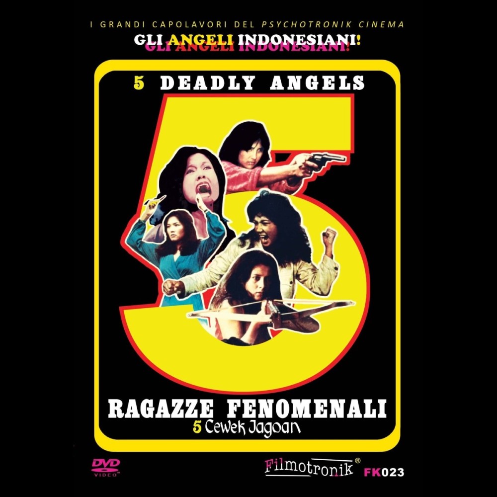 5 CEWEK JAGOAN RAGAZZE FENOMENALI - DVD