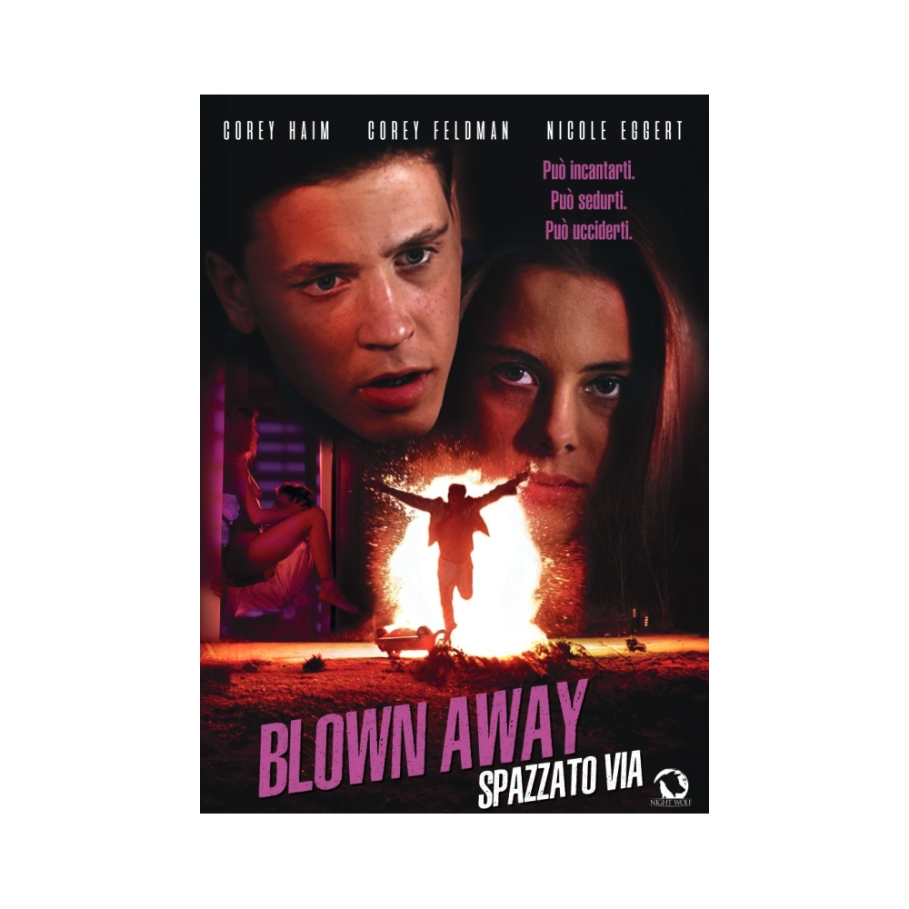 BLOW AWAY SPAZZATO VIA - DVD